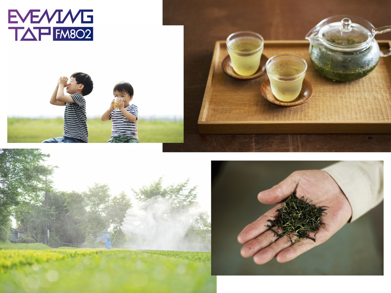 ＊コマキ手帖：「バイオリズムに寄り添う 緑茶」 ＊  #802TAP #802SDGs
