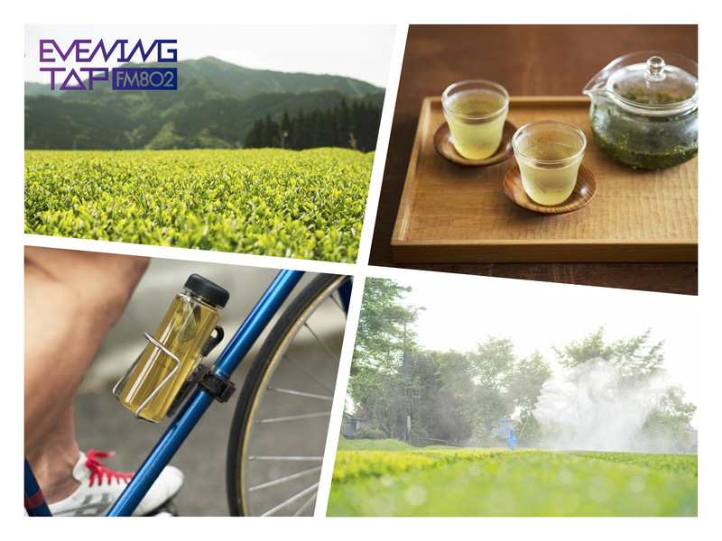 ＊コマキ手帖：「バイオリズムに寄り添う緑茶」＊  #802TAP #802SDGs @kamimizuen_com