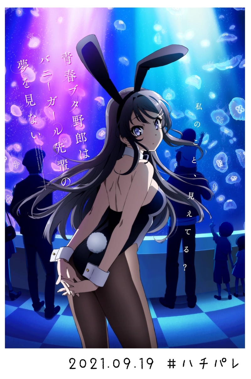 #ハチパレ ▽ Colorful Connect【 青春ブタ野郎はバニーガール先輩の夢を見ない 】