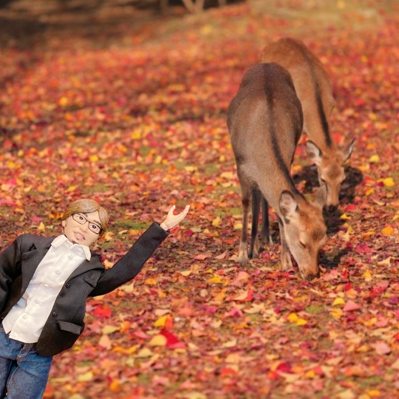 先週のおさらい & 本日のメニュー♪