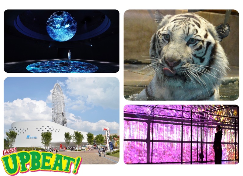 『nifrel MORE FUN』”ニフレル”グッズのプレゼントも♪