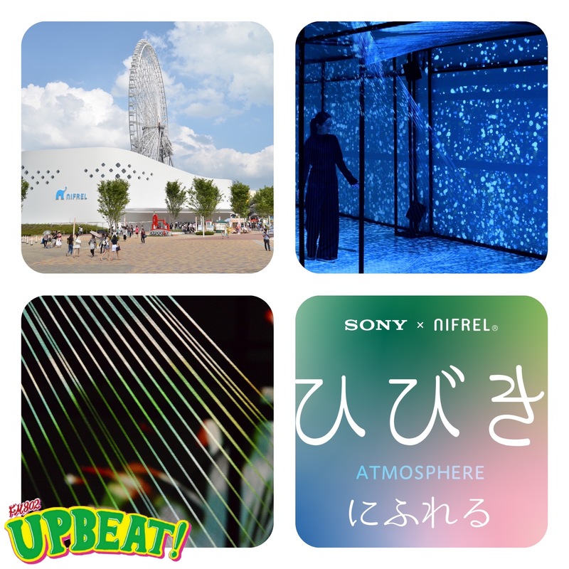 『NIFREL MORE FUN』”ニフレル”グッズのプレゼントも♪