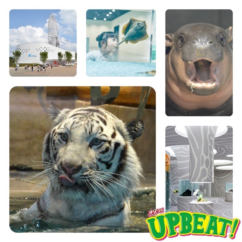 『NIFREL MORE FUN』最終回！豪華”ニフレル”グッズのプレゼントも♪