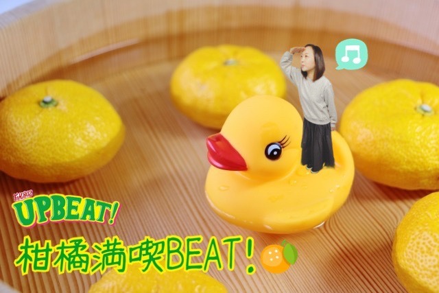 ＜＜＜「柑橘満喫BEAT!」！4日目のテーマは