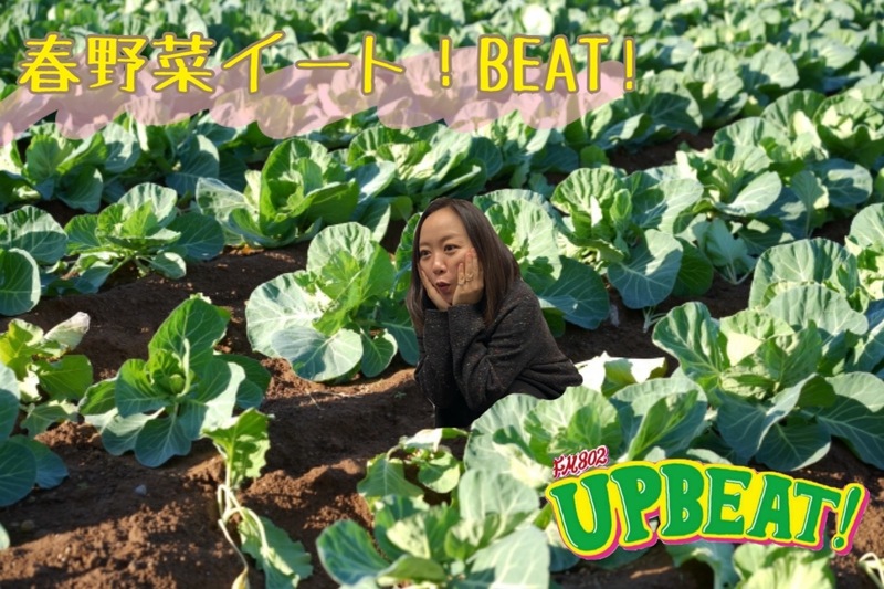 ＜＜＜「春野菜をイート！BEAT！」 “煮たり、茹でて、美味しい春野菜”教えてください♪＞＞＞