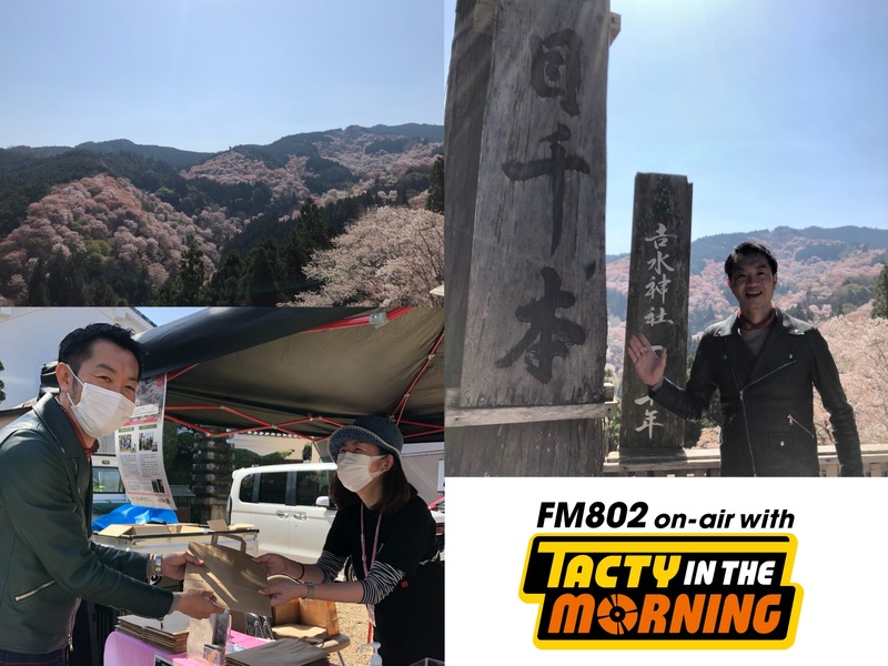 【4/14 8時台 奈良県・吉野山の桜 取材の様子をお届け！ 】