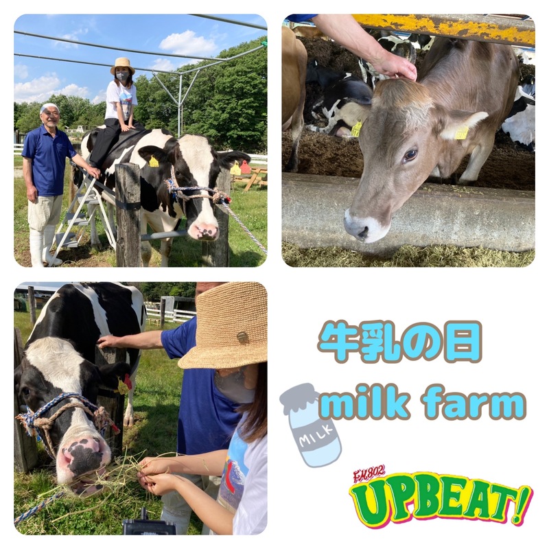 ＜＜＜「牛乳の日 milk farm」山田牧場の牧場長 山田さんにMEET YOU！〜その①〜＞＞＞