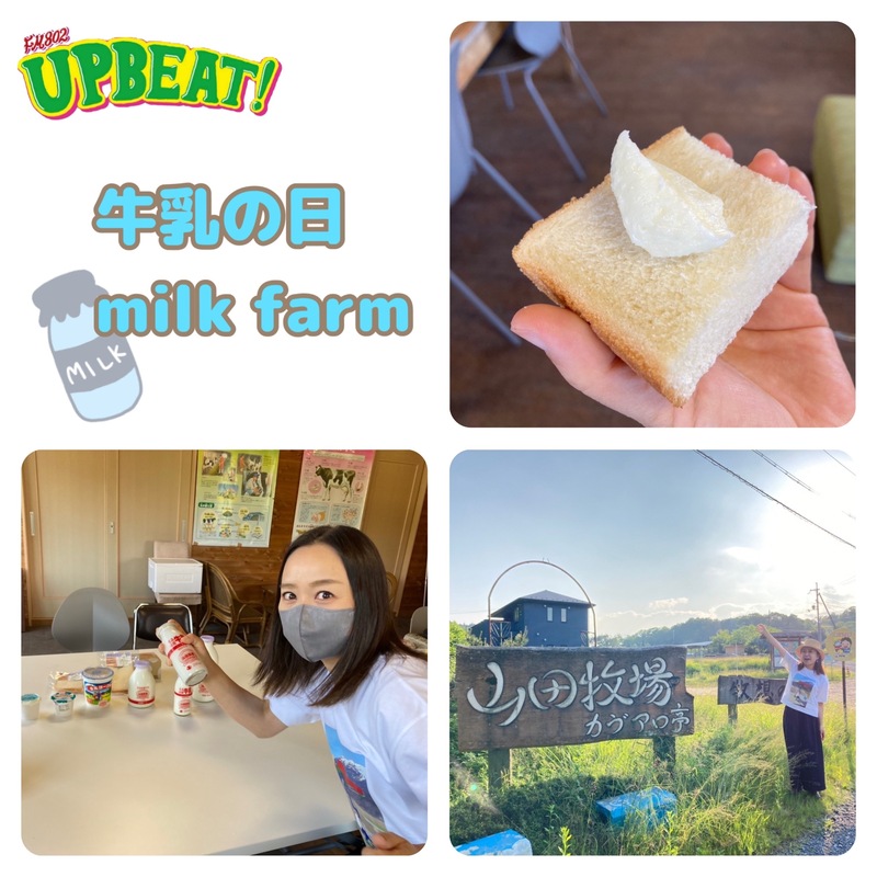 ＜＜＜「牛乳の日 milk farm」山田牧場の牧場長 山田さんにMEET YOU！〜その②〜＞＞＞