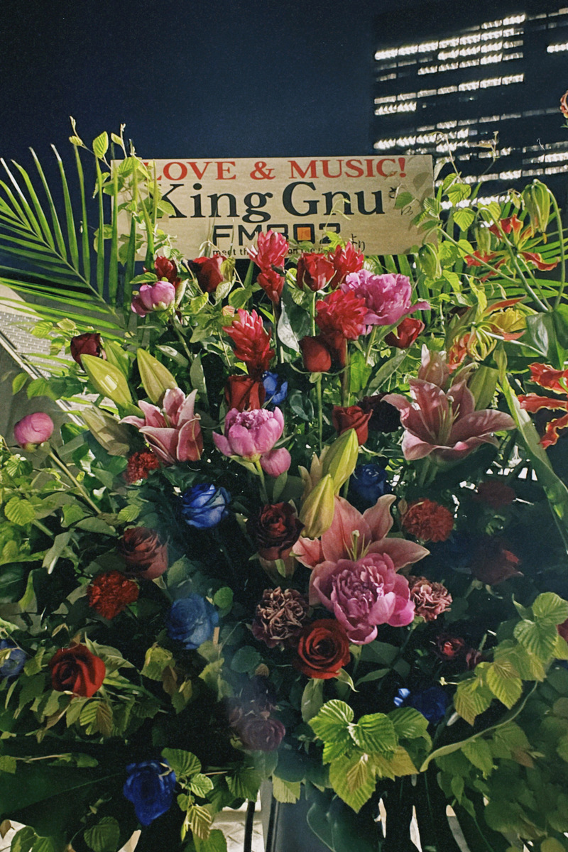 #ハチパレ 28時、ほのさんぽで。【 今日から子牛ちゃん 】