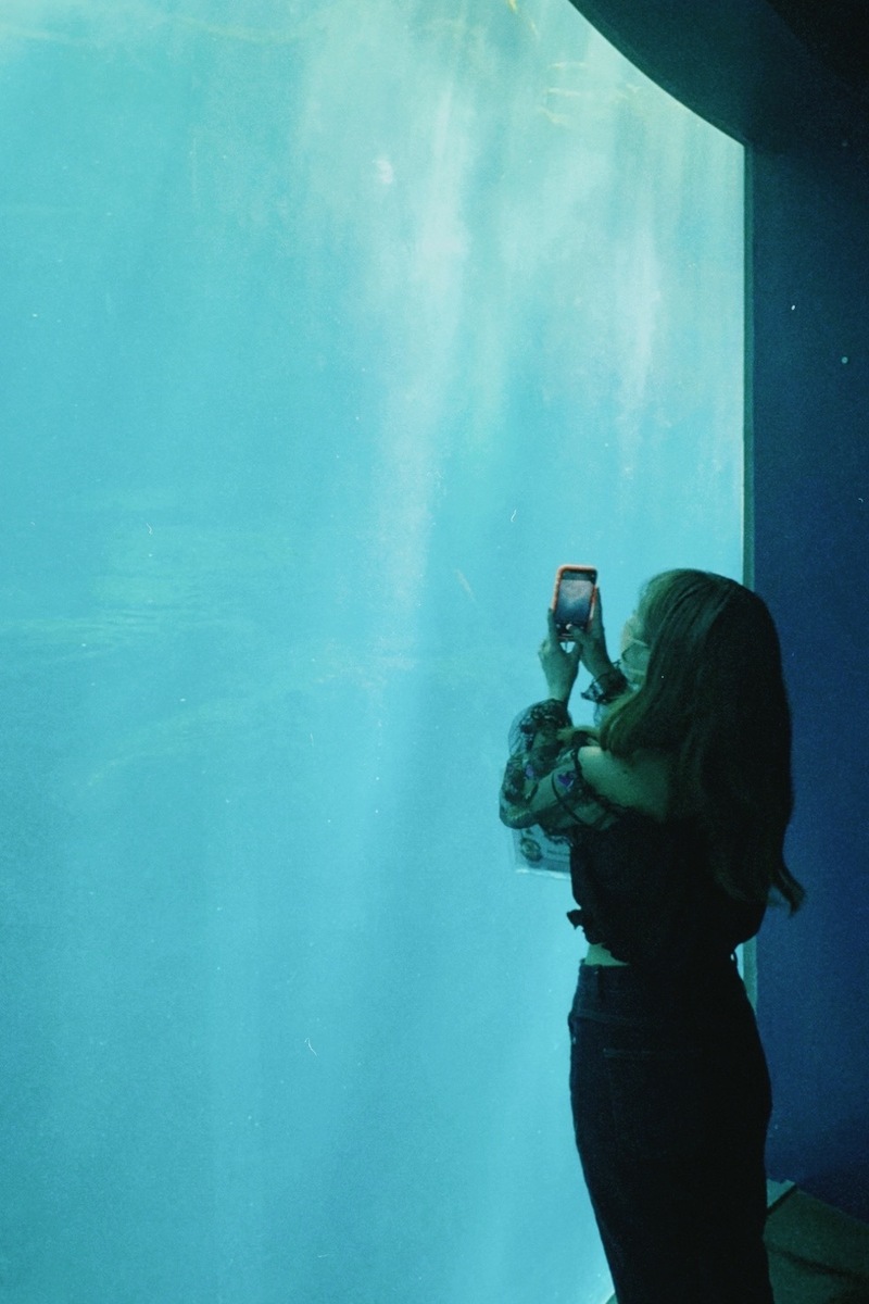 #ハチパレ 28時、ほのさんぽで。【 井の中の蛙大海を知る 】