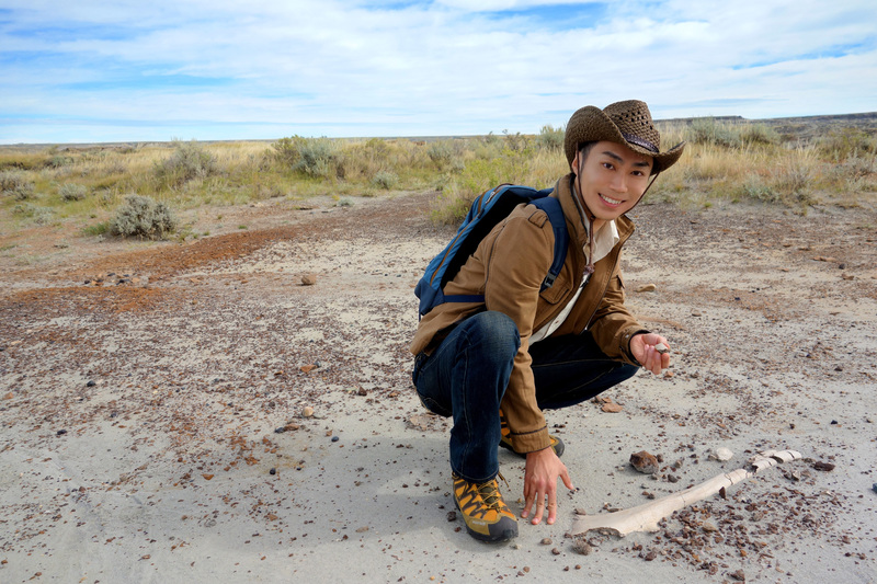 ＜9時台後半＞恐竜くん(@perfect_stan)が登場！ #起きたら802