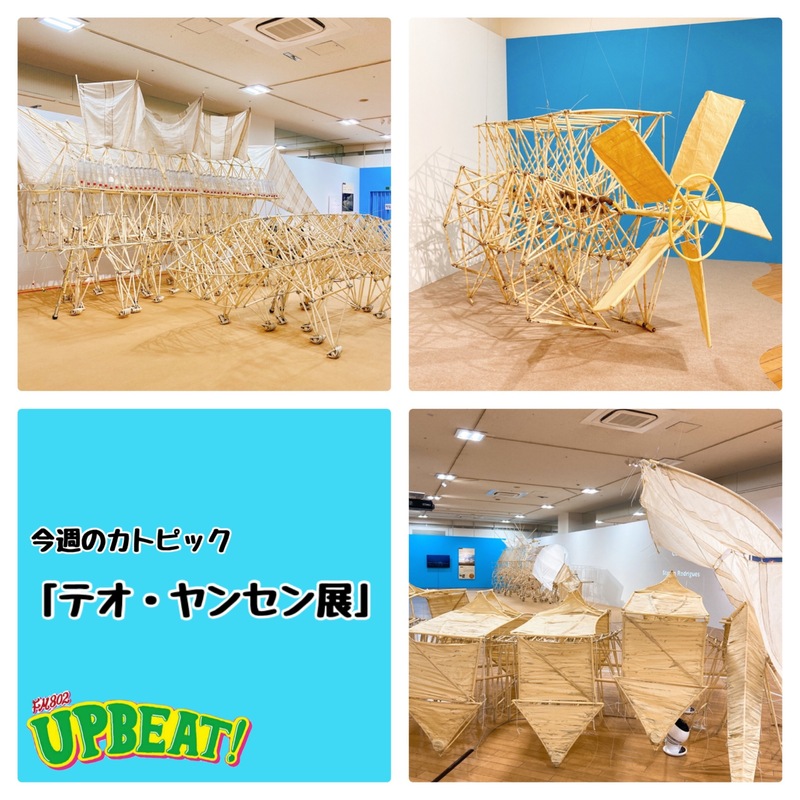 今週のカトピックは・・・「テオ・ヤンセン展」