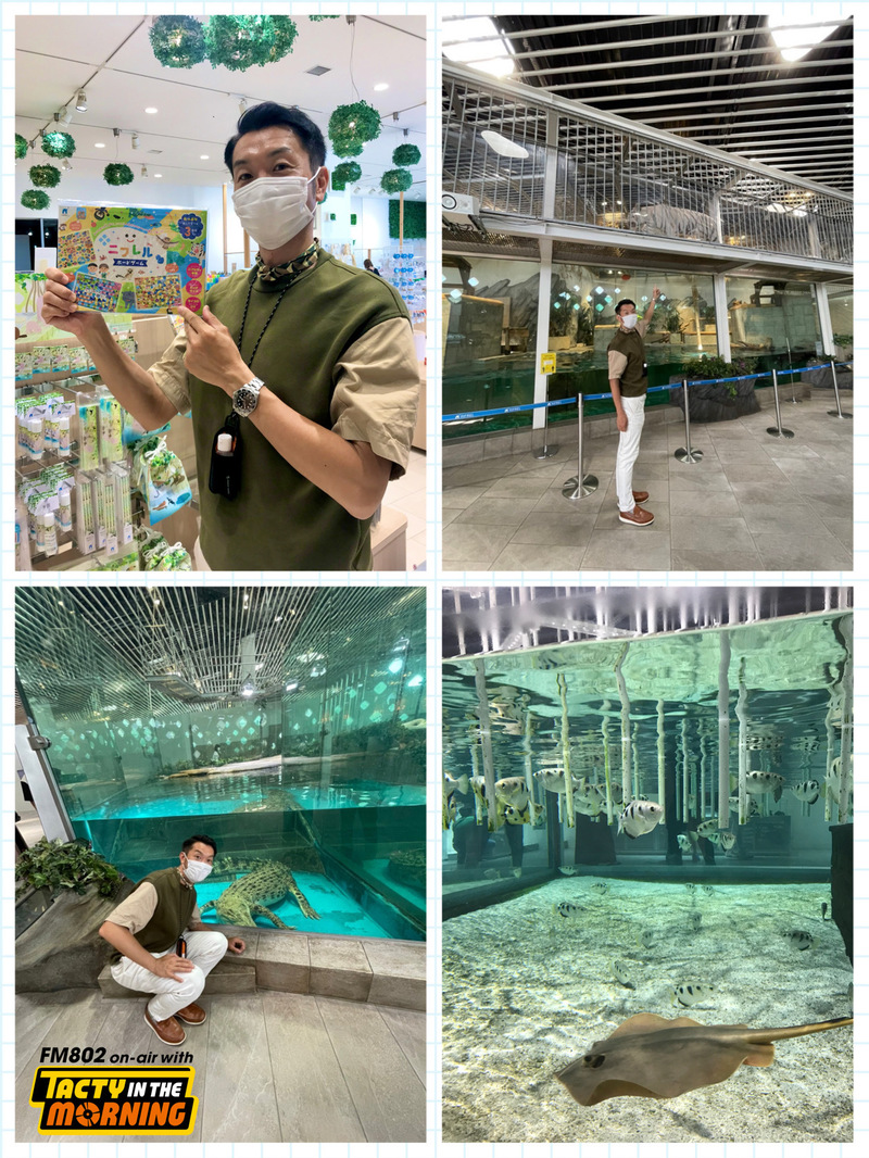 8/3(水) 8時台 新コーナー「 ニフレル Touch Now 」スタート♪