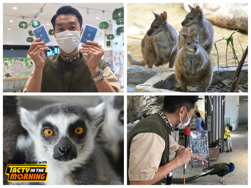 8/10(水) 8時台「 ニフレル Touch Now 」