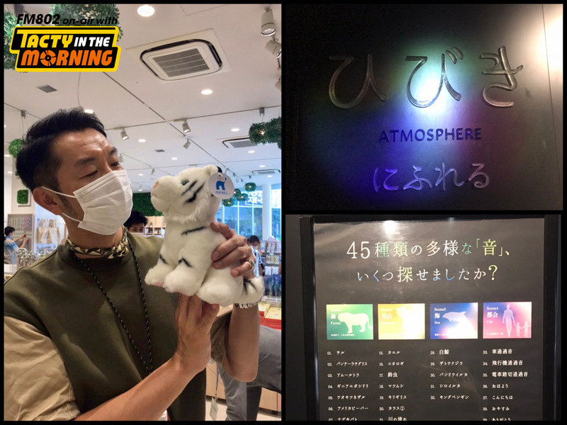 8/17(水) 8時台「 ニフレル Touch Now 」