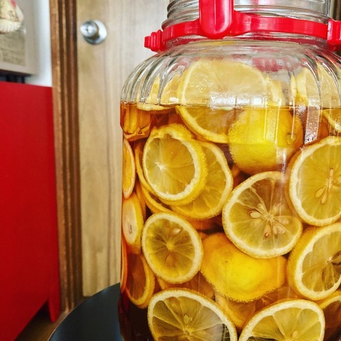 「夏の切り抜き 2022 BEAT！」ハンバートハンバート（@humbert_info）の夏写真はこちら！ #802夏