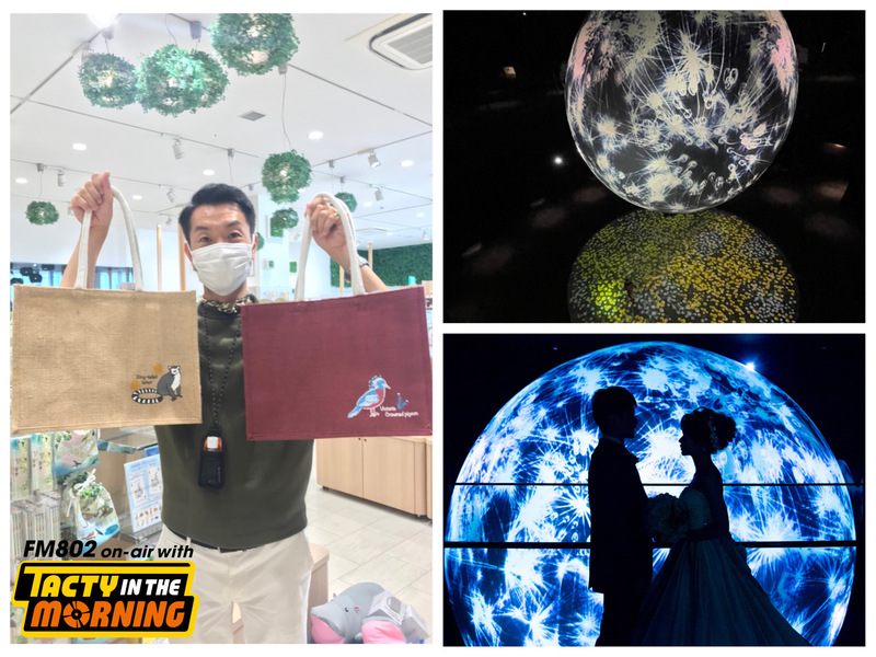 8/24(水) 8時台「 ニフレル Touch Now 」