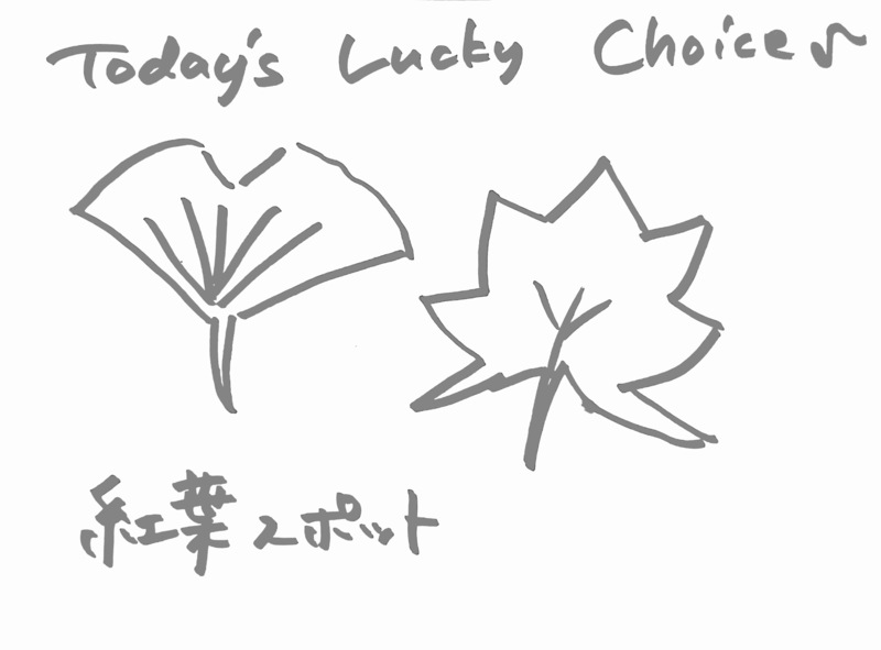 11/16 Today's Lucky Choice