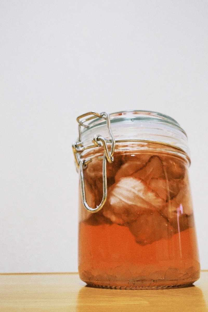 #ハチパレ 28時、ほのさんぽで。【 最高だってシュガーソング 】