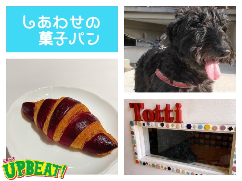 ◎しあわせの菓子パン◎ Panissimo【 クロワッサン ロッソ 】