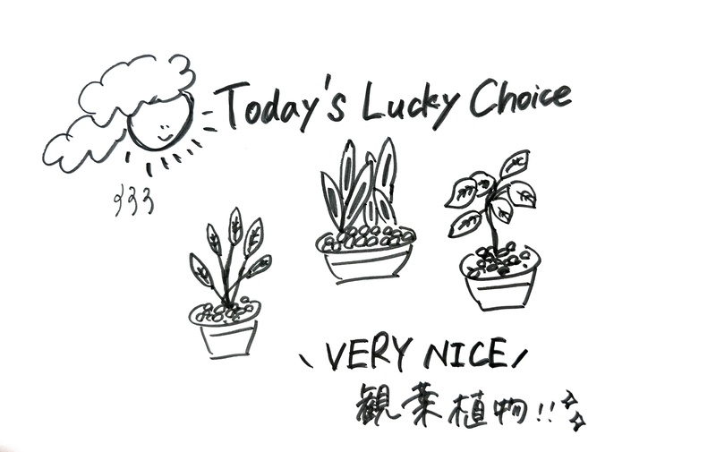 1/26 Today's Lucky Choice