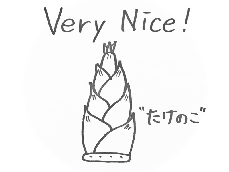 4/19 Today's Lucky Choice