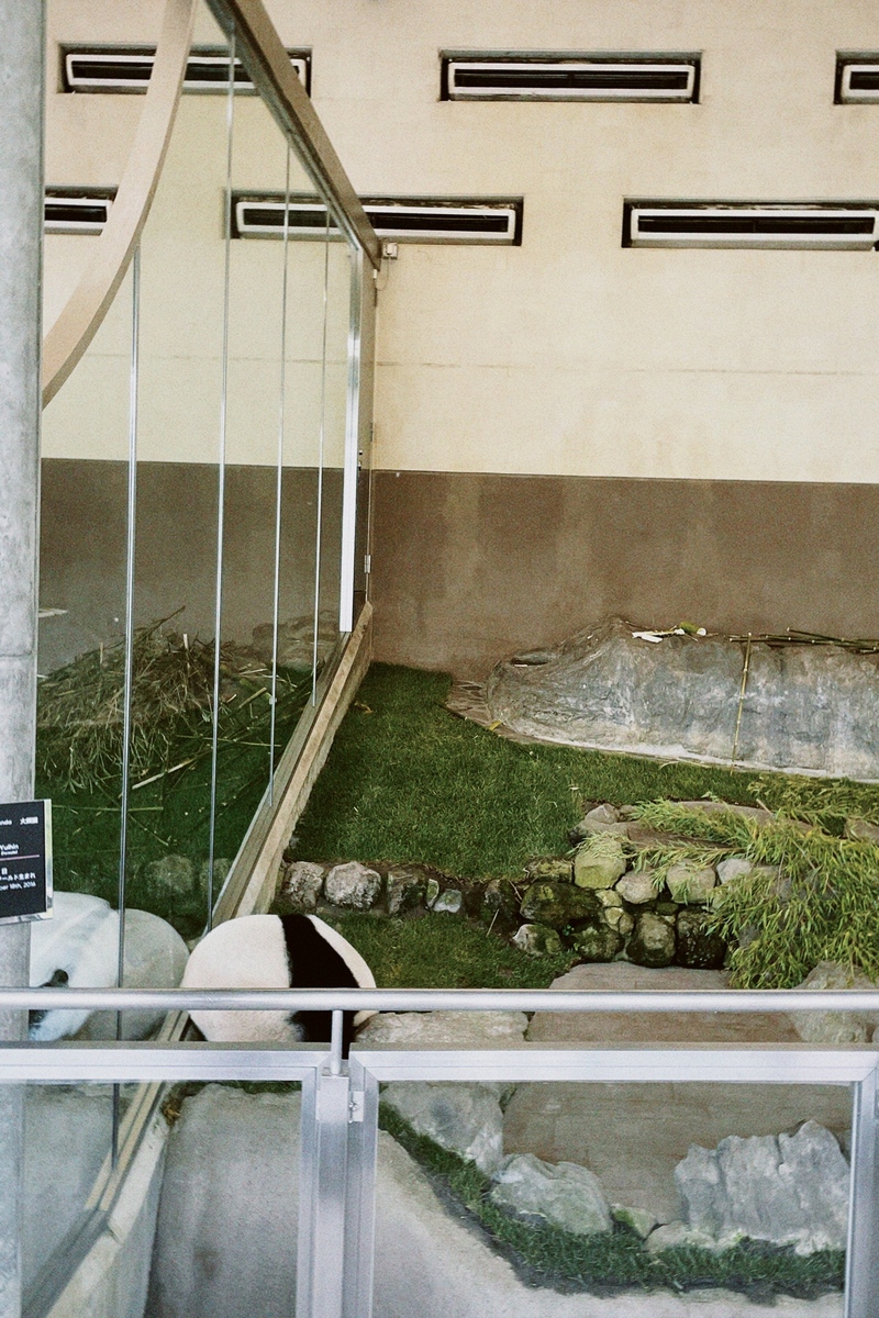 #ハチパレ 28時、ほのさんぽで。【 パンダと魚と梅と 】