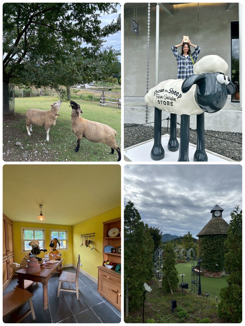 ◎OPEN COUNTRY ACTIVE STYLE  羊さんに癒されるローザンベリー多和田 ◎ #起きたら802