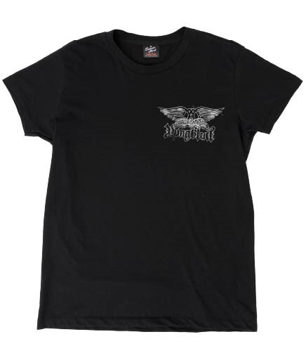 ★なな金プレゼント『 エアロスミス & ヤングブラッド　オリジナルTシャツ 』をプレゼント★