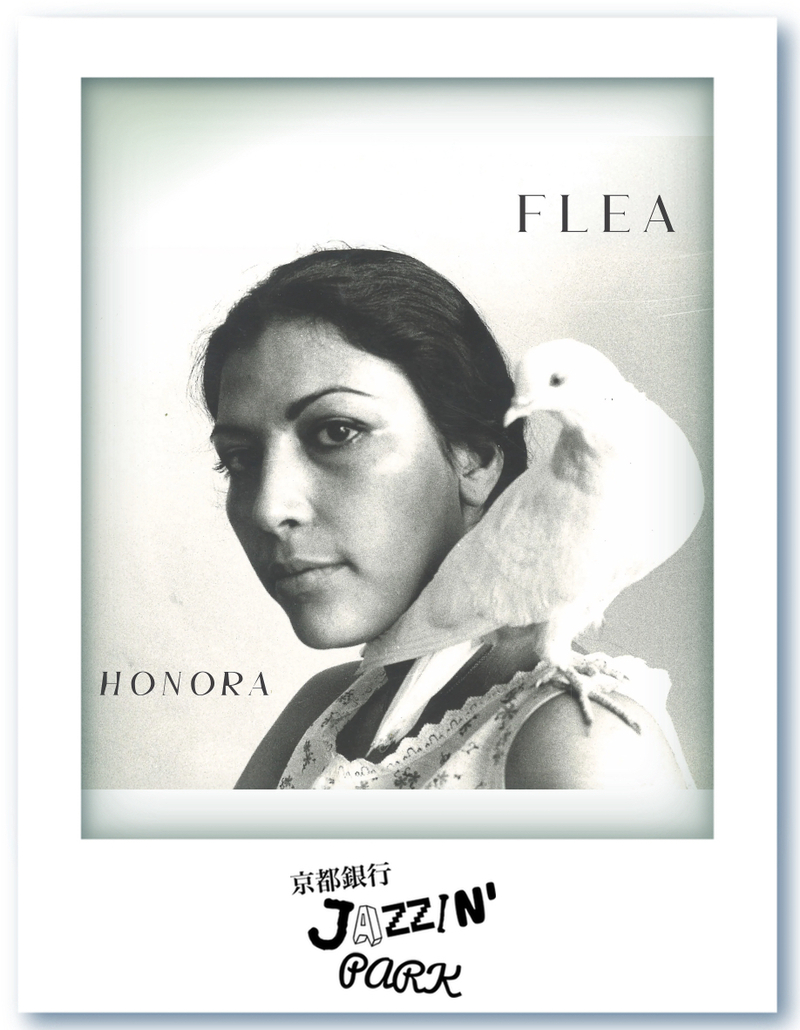 京都銀行 JAZZIN' PARK