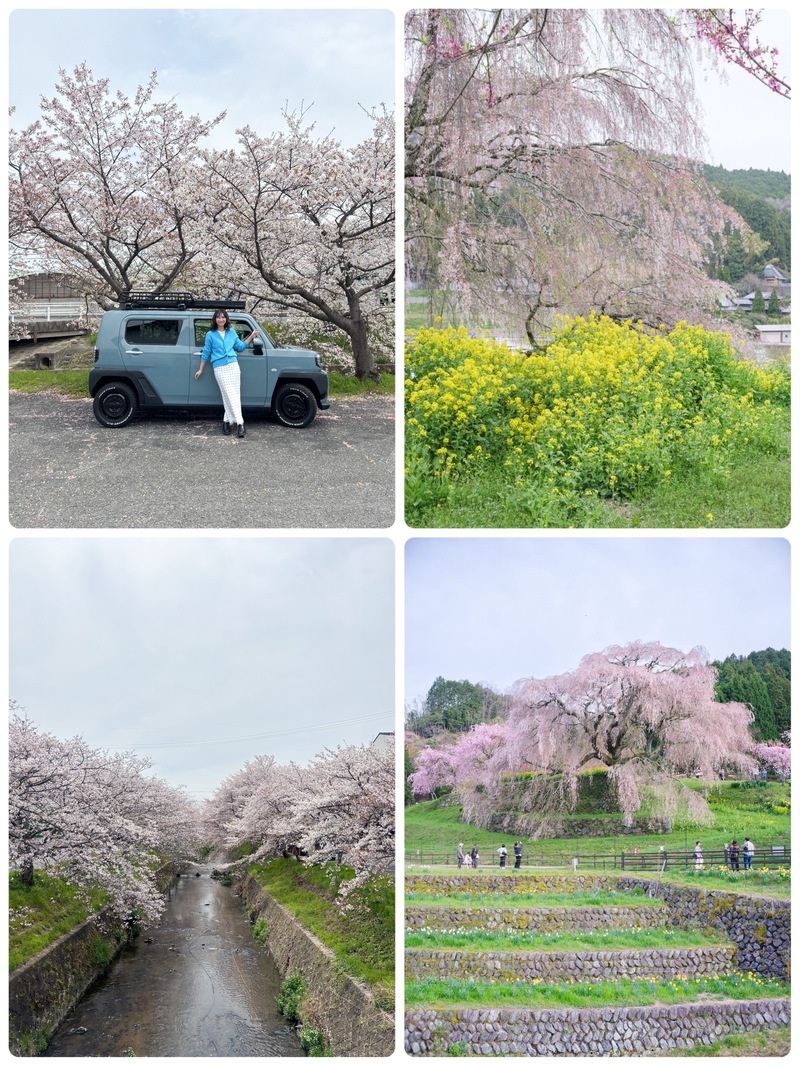 ◎OPEN COUNTRY ACTIVE STYLE 「奈良へ桜めぐりドライブ」 ◎ #起きたら802