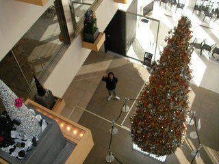 3階から見下ろしてみると