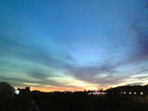 土井コマキです