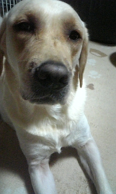 北の空から…♪