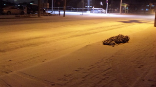 北の空から…♪