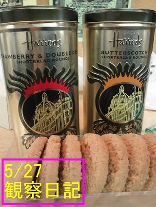 スタッふ〜の観察日記61【5/27】