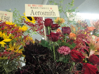 スタッふ〜の観察日記86【6/1その②】