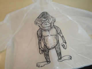 ☆ザ・クロマニヨンズの「レインコート」☆