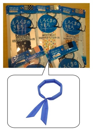 ☆しろくまのきもち☆