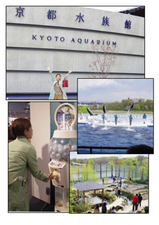京都水族館