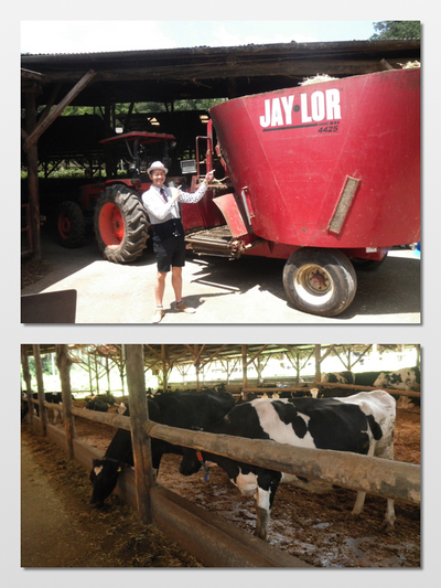 牛乳の生まれるところ☆