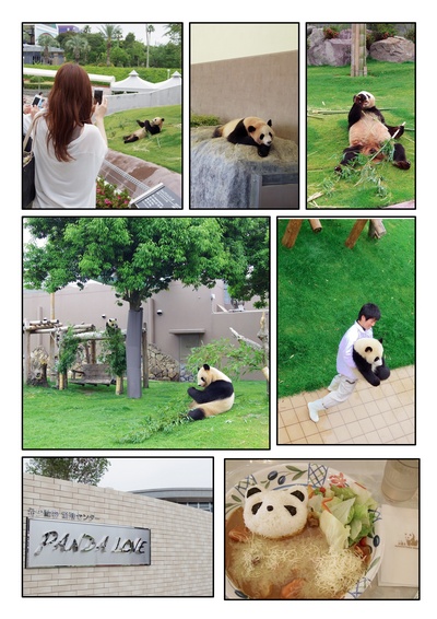 パンダ天国