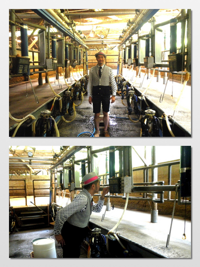 牛乳が食卓に届くまで☆