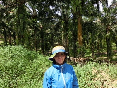 サラヤ CHEERS FOR NATURE ボルネオ島（１）