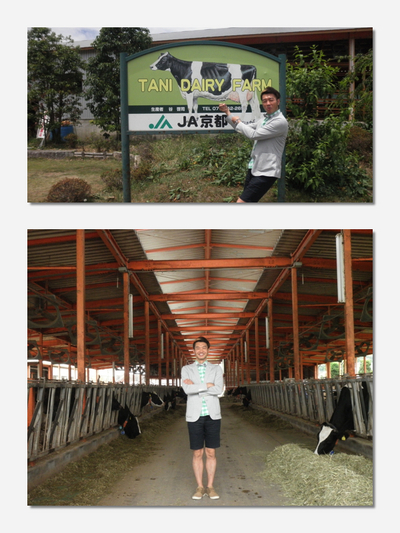 牛の乳搾り体験☆