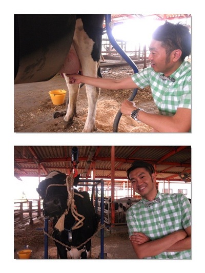 牛の乳搾り体験☆