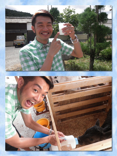 子牛に哺乳体験☆