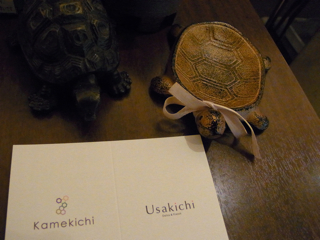 役立つランチ情報