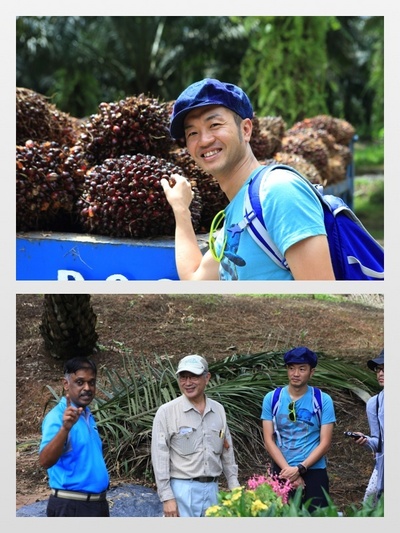 サラヤ CHEERS FOR NATURE SPECIAL【１】