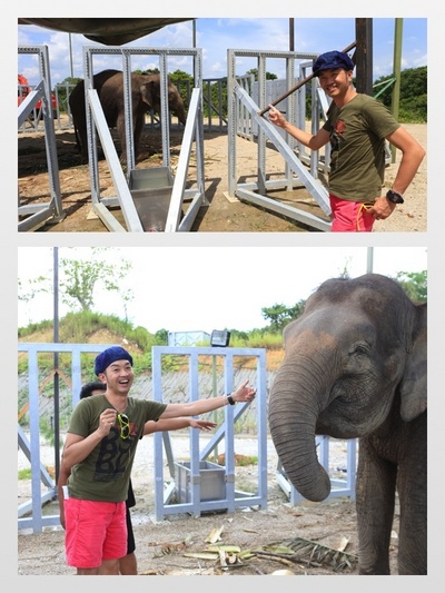 サラヤ CHEERS FOR NATURE SPECIAL【５】